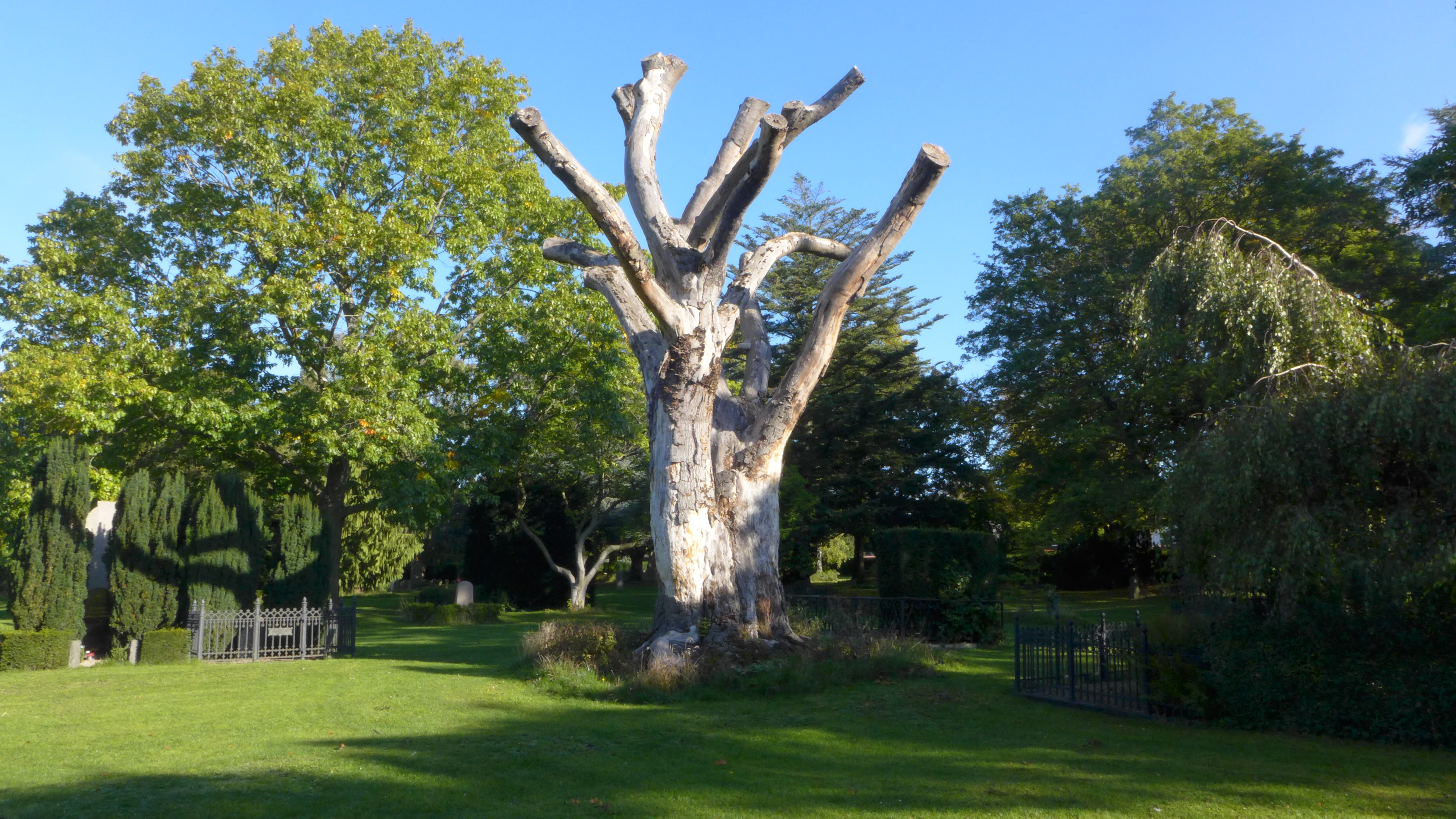 Den historiske have - Solbjerg Parkkirkegård