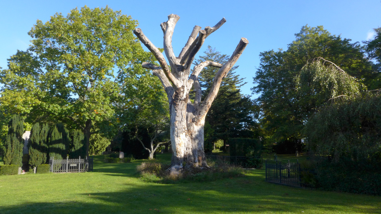 Den historiske have - Solbjerg Parkkirkegård