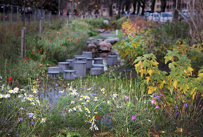 Lindevangsparken er med på listen over projekter i 2022, der skal styrke visionerne om mere bynatur og biodiversitet på Frederiksberg